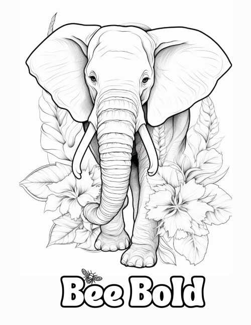 Affirmation Coloring Book (Color with Confidence Series) Paperback