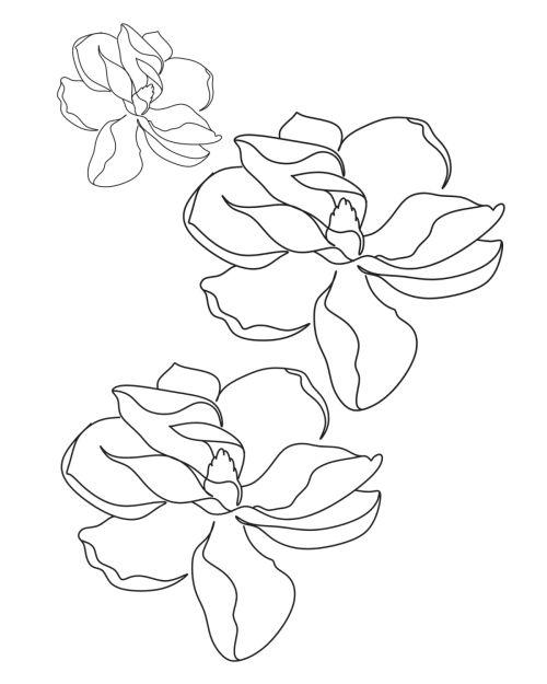Healing Beyond the Hurt: Selfcare Coloring Book