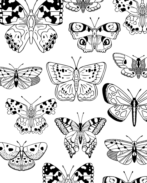 BUTTERFLIES &amp; AFFIRMATIONS: A Self-Care Coloring Book for Transformation, Peace &amp; Positive Thinking.