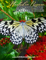Planted In Purpose Affirmations Coloring Book 