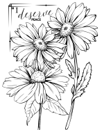 Healing Beyond the Hurt: Selfcare Coloring Book