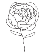 Healing Beyond the Hurt: Selfcare Coloring Book